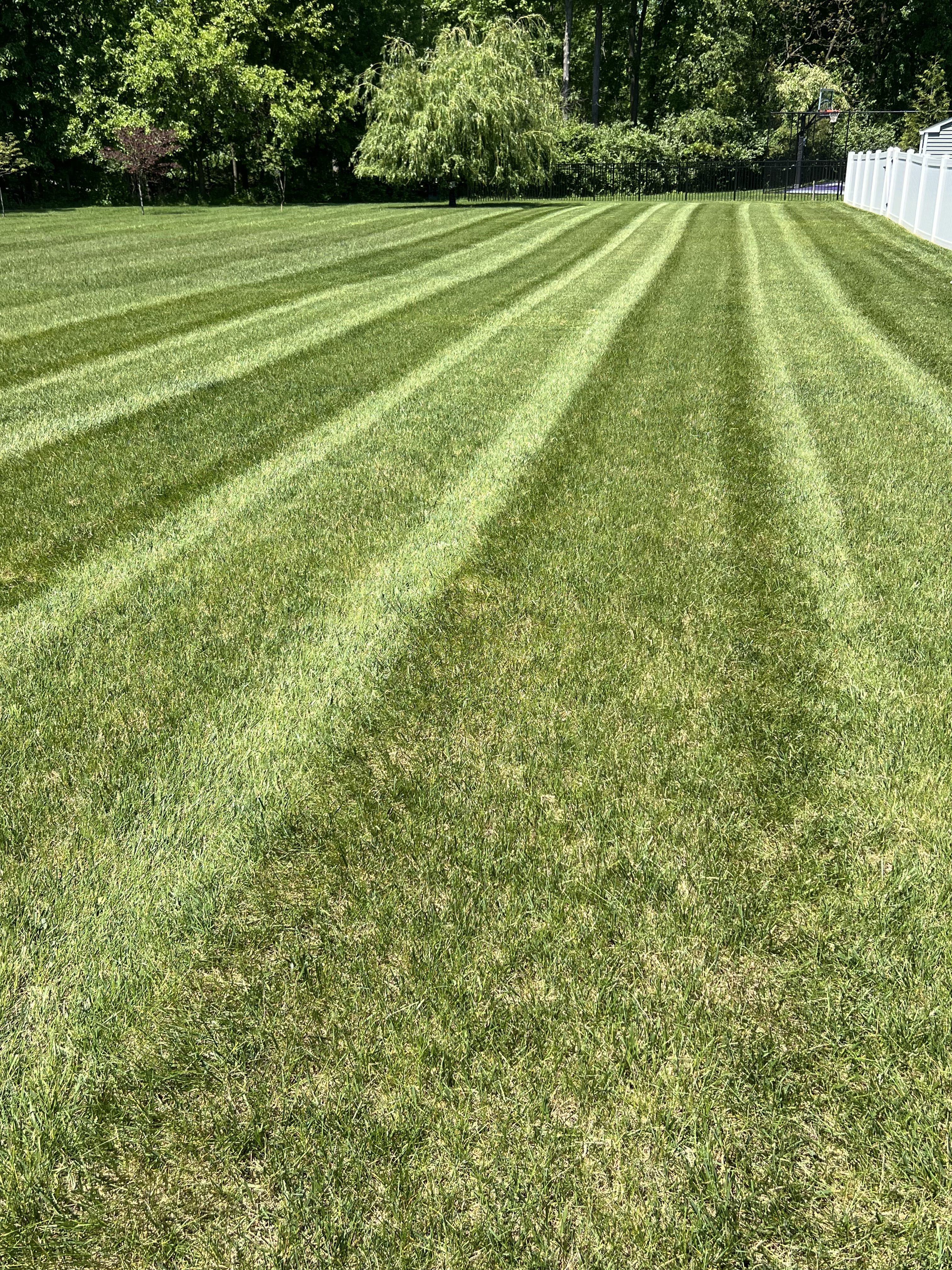 hanover lawn mowing service